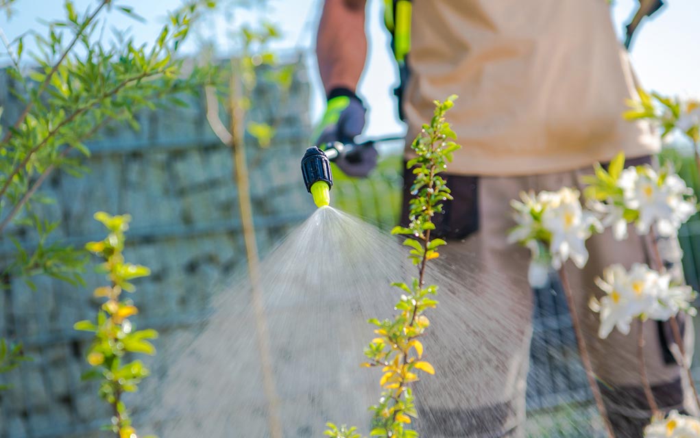 this-popular-gardening-product-may-be-ruining-your-health