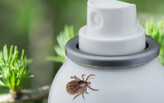 tick-hoards-this-summer-probably-here-s-how-to-beat-the-bloodsuckers