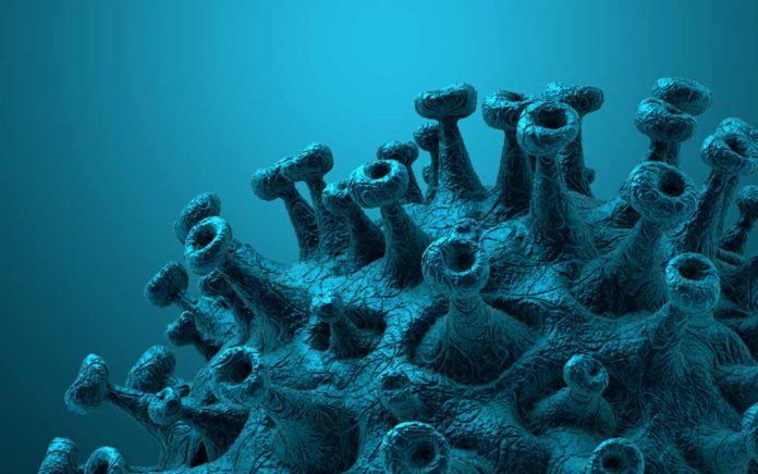 Coronavirus-How-Long-It-Lives-What-You-Can-Do Coronavirus: How Long Can It Live, What You Can Do