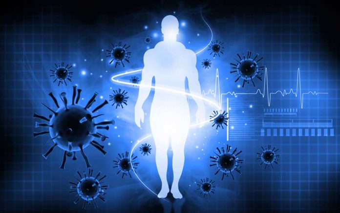 10-Foods-That-Destroy-Your-Immune-System 10 Foods That Destroy Your Immune System