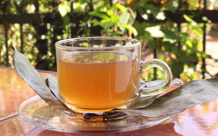 Soursop Tea: What You Need to Know