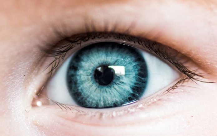 Eyes May Be an Early Indicator of Alzheimer's