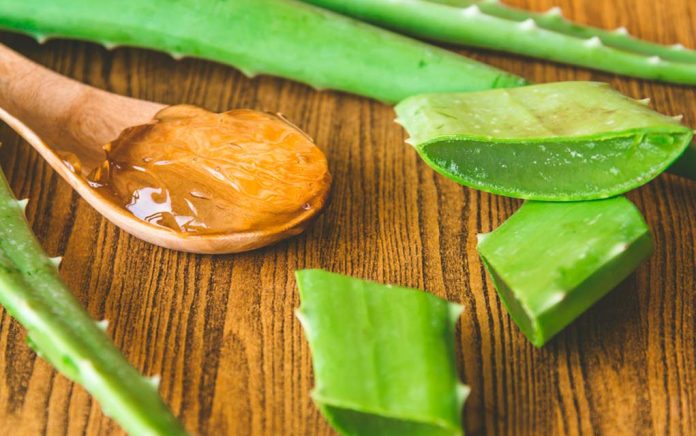 6 Amazing Benefits of Aloe Vera