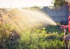 The Danger That May Be Lurking In Your Garden