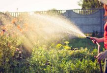 The Danger That May Be Lurking In Your Garden