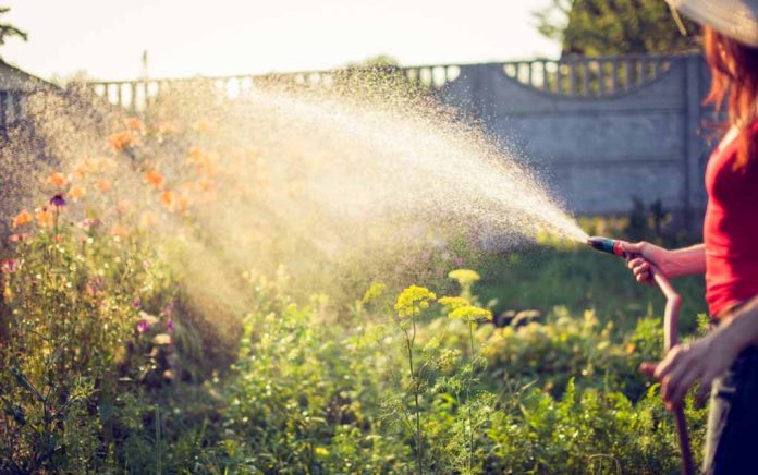 The Danger That May Be Lurking In Your Garden