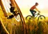 Heading Out With the Family for a Bike Ride? Keep It Safe and Legal