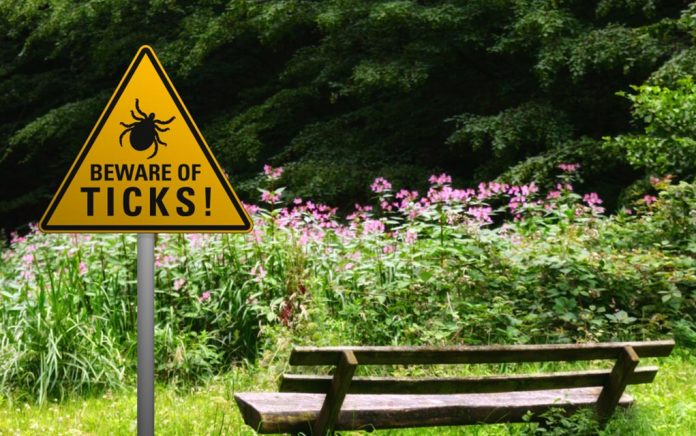 Is-It-COVID-or-a-Tick-Borne-Disease Is It COVID or a Tick Borne Disease?