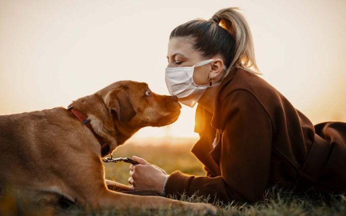 8-Ways-Pets-May-Improve-Health-During-the-Pandemic