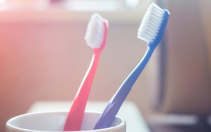 How-Disgusting-Is-Your-Toothbrush How Disgusting Is Your Toothbrush?