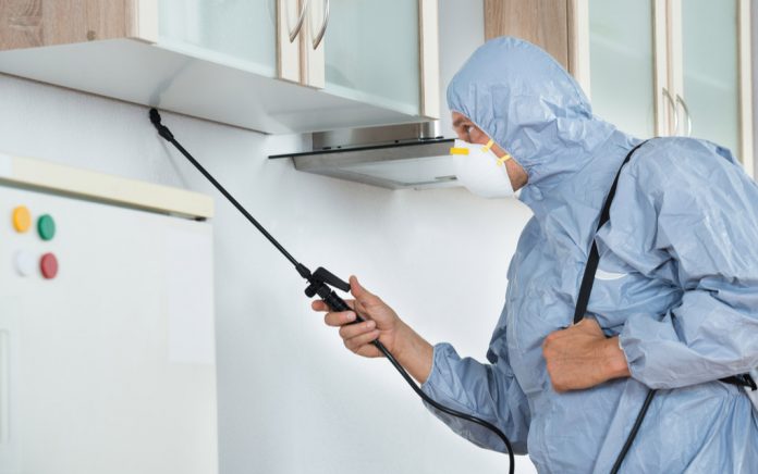 6-Deadly-Year-Round-House-Pests 6 Deadly Year-Round House Pests
