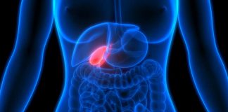 Gallbladder Health: 9 Surprising Signs Something Is Wrong