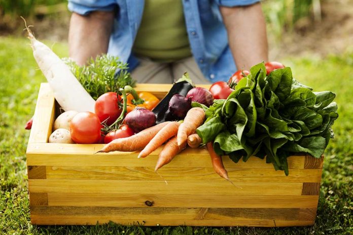 Wooden,Box,Filled,Fresh,Vegetables 5 Simple Ways to Enjoy a More Sustainable Summer