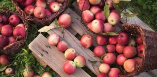 5 Surprising Health Benefits of Apples