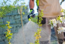 This Popular Gardening Product May Be Ruining Your Health