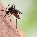 How to Stop Making Yourself into a Mosquito Target