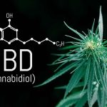 CBD and Sleep – What You Don’t Know Could Be a Game Changer