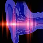 First 3-D Printed Middle Ear Transplant Cures Deafness