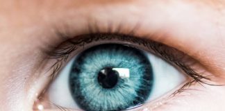 Eyes May Be an Early Indicator of Alzheimer's