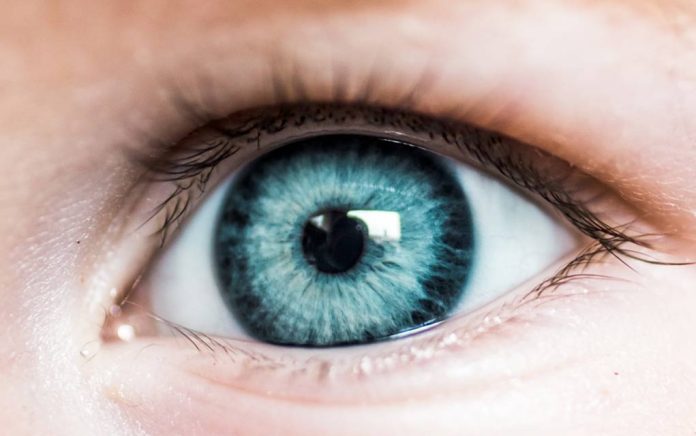 Eyes-May-Be-an-Early-Indicator-of-Alzheimers Eyes May Be an Early Indicator of Alzheimer's