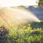 The Danger That May Be Lurking in Your Garden The Danger That May Be Lurking In Your Garden