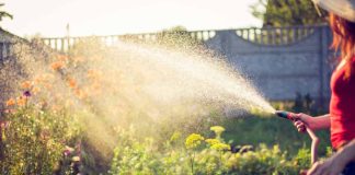 The Danger That May Be Lurking In Your Garden