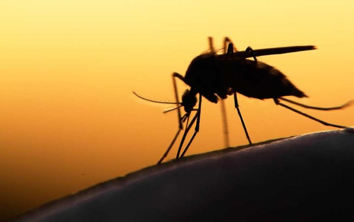 This-Blood-Type-Makes-You-More-Prone-to-Mosquito-Bites This Blood Type Makes You More Prone to Mosquito Bites