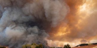 Wildfire Smoke is Traveling: Here's How to Keep Your Lungs Protected
