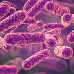 These Bacteria Are Everywhere: Could They Be Making You Sick? These Bacteria Are Everywhere: Could They Be Making You Sick?
