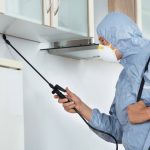 6 Deadly Year-Round House Pests