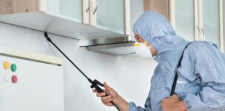 6 Deadly Year-Round House Pests