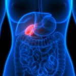 Gallbladder Health: 9 Surprising Signs Something Is Wrong