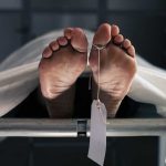 The Truth About Donating Your Body to Science Revealed The Truth About Donating Your Body to Science Revealed
