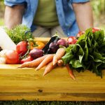 5 Simple Ways to Enjoy a More Sustainable Summer 5 Simple Ways to Enjoy a More Sustainable Summer