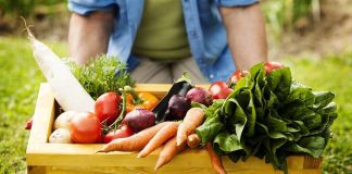 5 Simple Ways to Enjoy a More Sustainable Summer