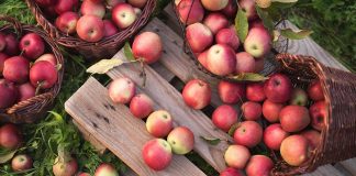 5 Surprising Health Benefits of Apples